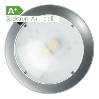 LED Ceiling Light Rio