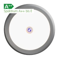 LED bodové světlo Mini Spot