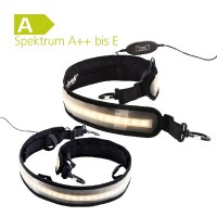 Light Belt Corvus