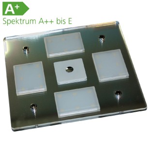 Ceiling Light