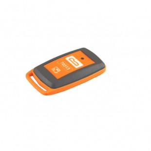 Keyless Go Card CaraControl