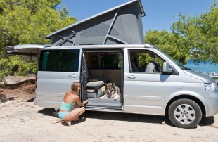 Flyout Mosquito Nets VW
