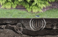 Solar Mole-Free