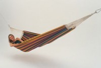 Hammock Paradisco tropical