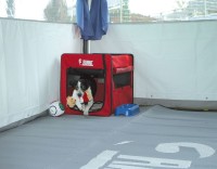 Dog Crate Carry Dog