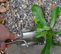 Folding Shovel Made from Solid Stainless Steel