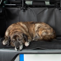 Car Boot Liner And Dirt Trap Mat Premium 5