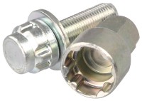 Security Screw 1